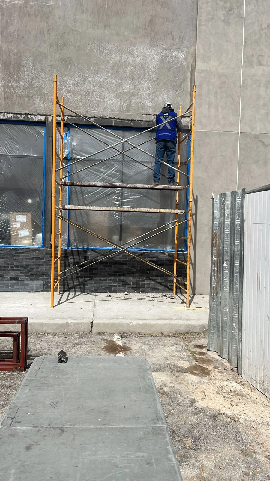 Proyecto 10