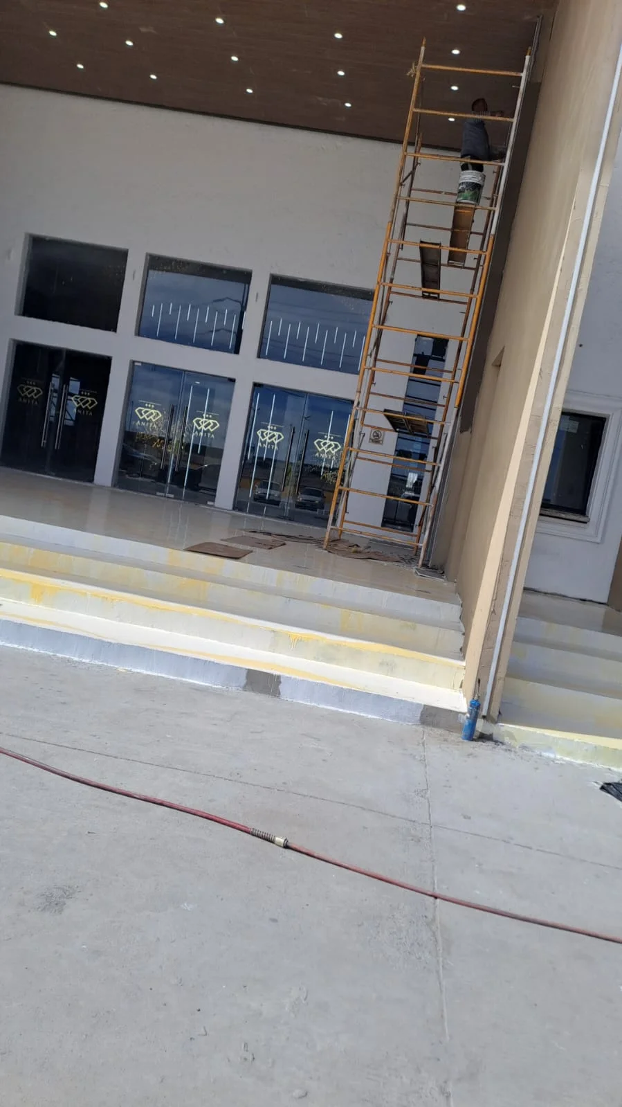 Proyecto 11