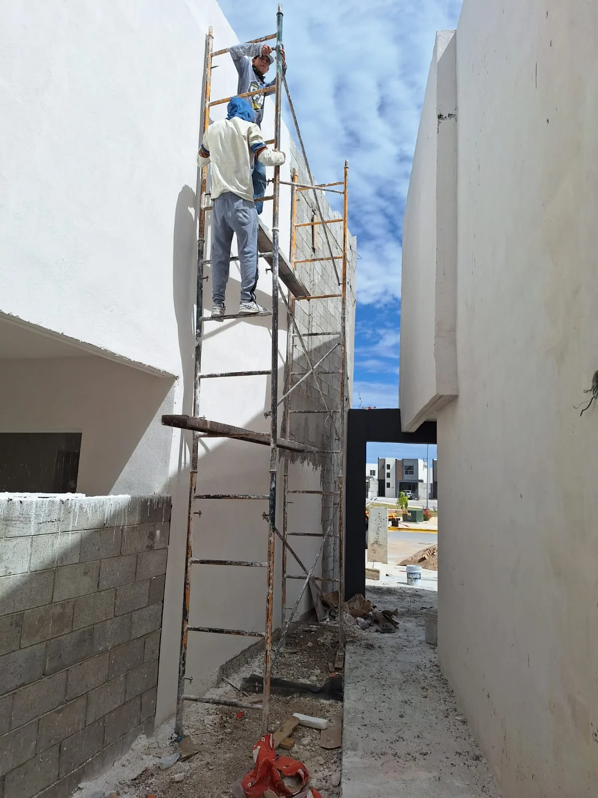 Proyecto 17
